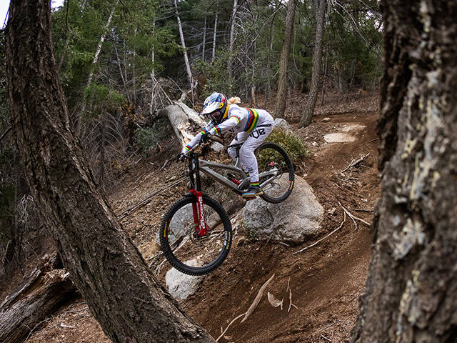 Siodełko rowerowe Ergon SM Downhill