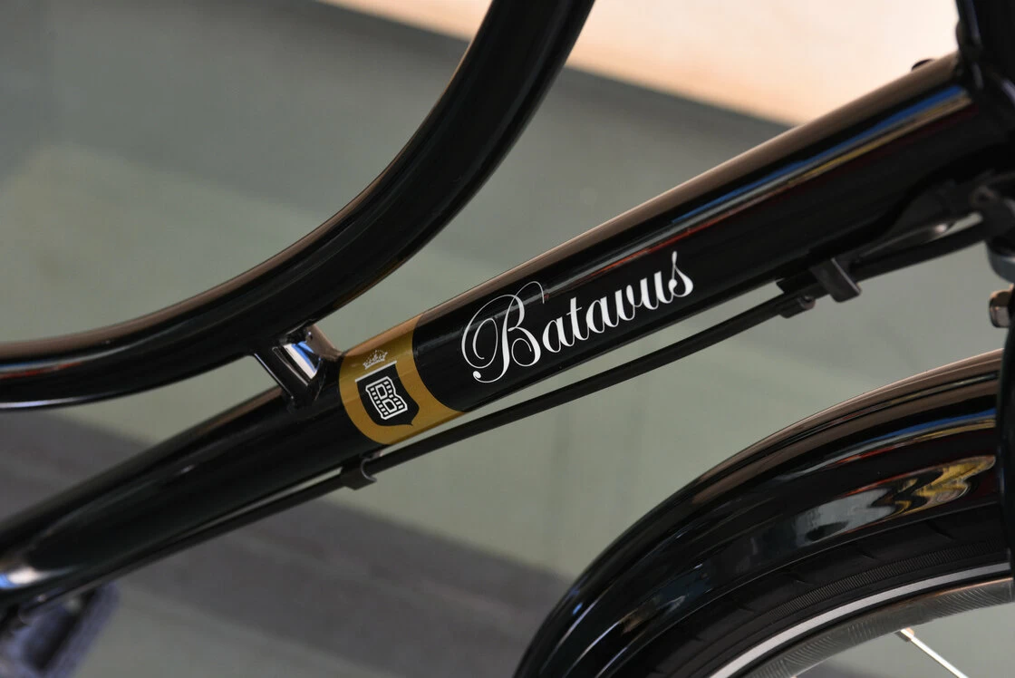 Batavus Old Dutch N3