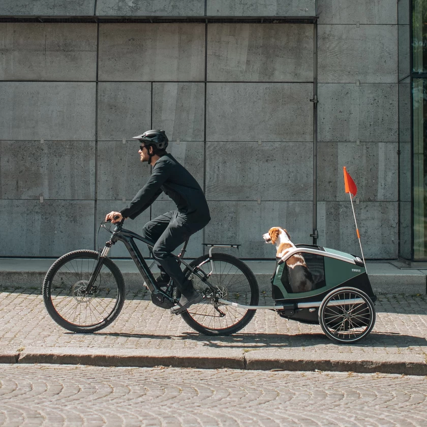 Przyczepka rowerowa dla psa Thule Bexley